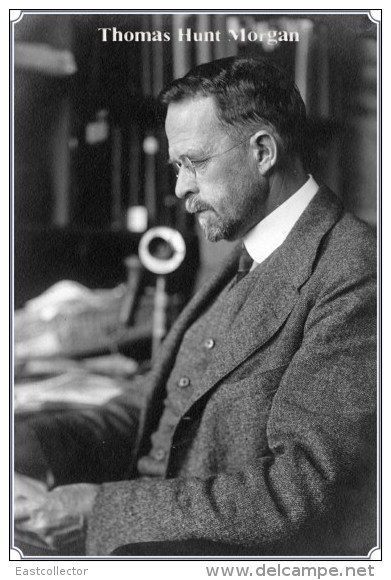 NOBEL PRIZE WINNERS Thomas Hunt Morgan   Stamped Card 0951-3 - Nobelprijs