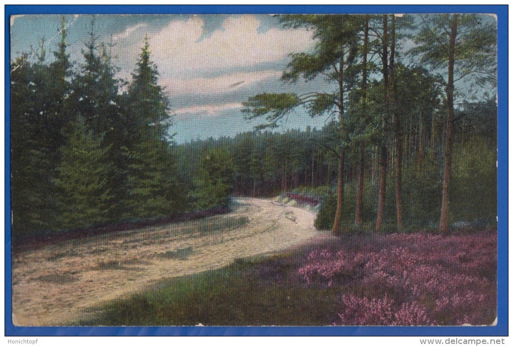 Deutschland; Lüneburger Heide; Waldweg In Kleeckerwald; 1918 Feldpost - Lüneburger Heide