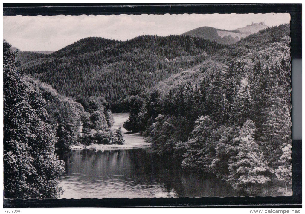 Bad Lauterberg - Blick Vom Wiesenbeker Teich Auf Ravensberg - Harz - Bad Lauterberg