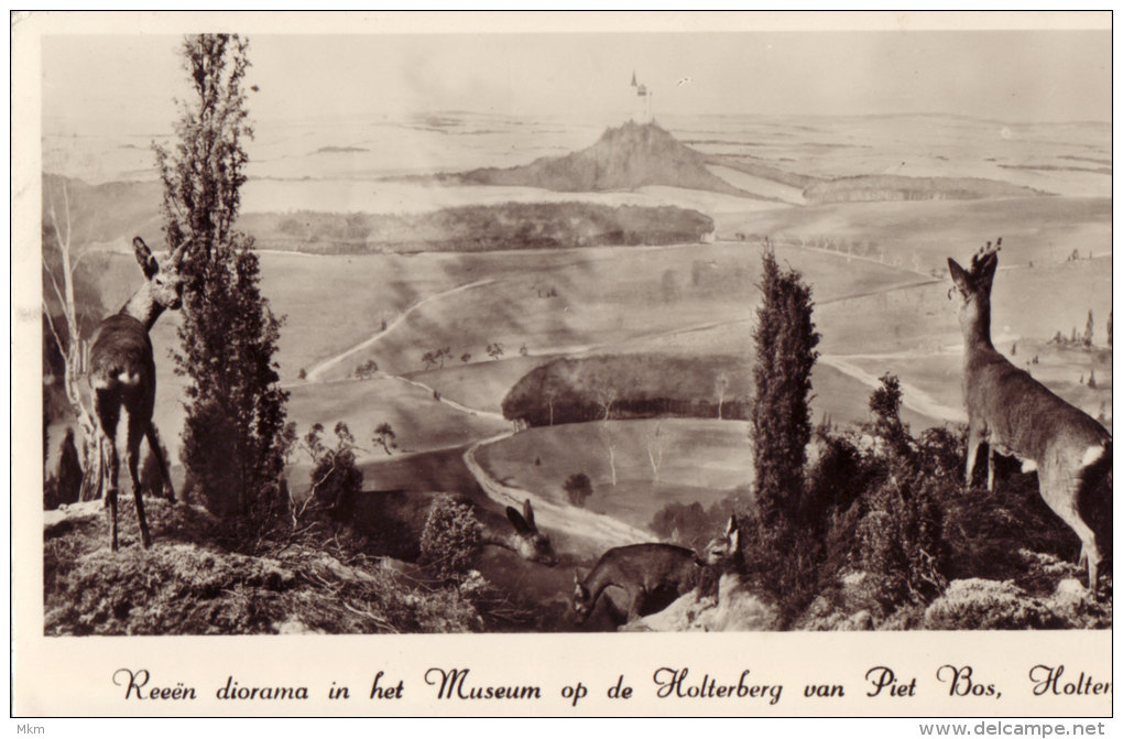 Diorama In Het Museum Holterberg - Holten