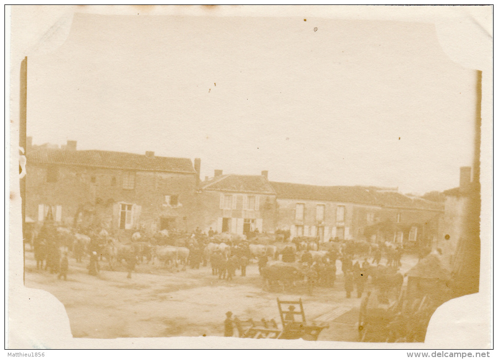 Photo Originale 1890 LA CHAIZE LE VICOMTE - La Foire Aux Boeufs Gras (A46) - La Chaize Le Vicomte