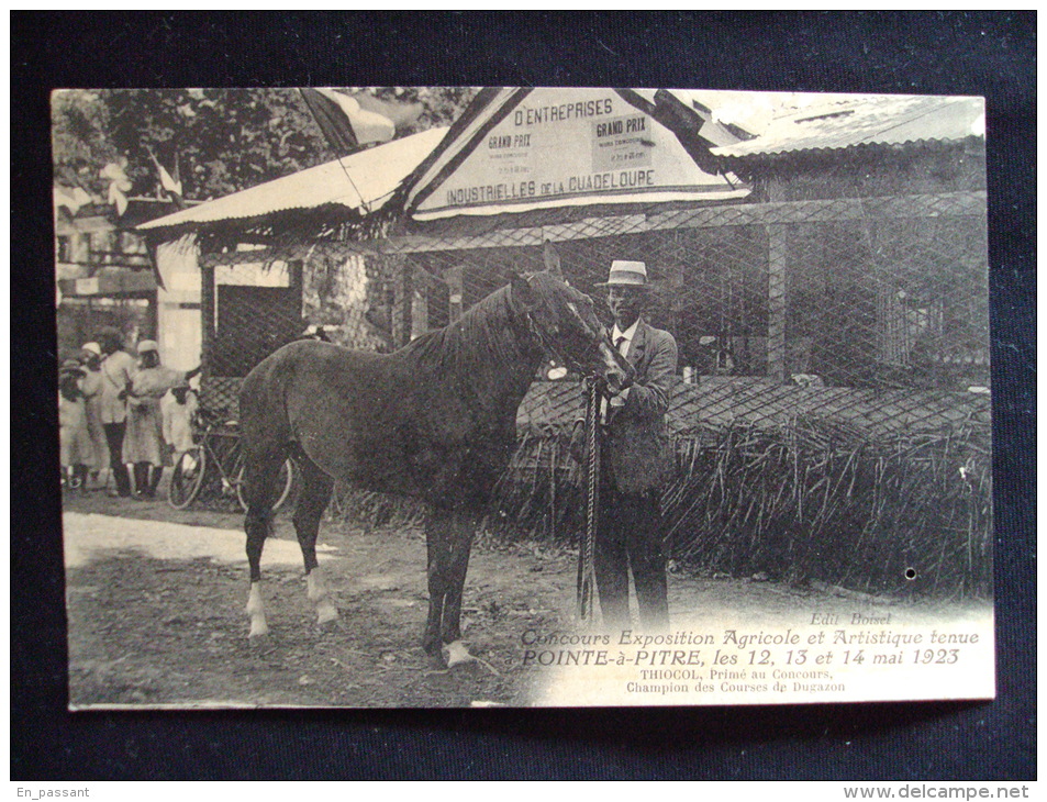 CPA  GUADELOUPE 97110  CONCOURS EXPOSITION AGRICOLE 1923 CHEVAL HIPPISME - Pointe A Pitre