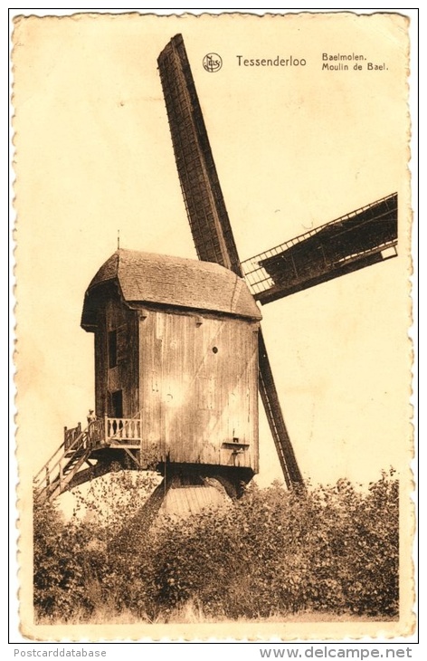 Tessenderloo - Baelmolen - Moulin De Bael - & Windmill - Tessenderlo