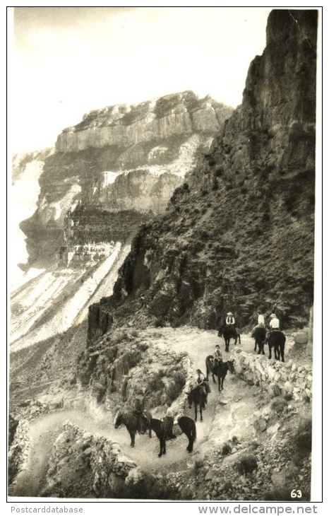 Grand Canyon, Arizona - & Horse - Grand Canyon