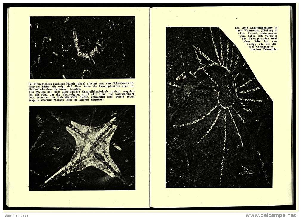 Kleines Orion Heft  -  Plankton Vor 400 Millionen Jahren   -   Rudolf Hundt  -  Von 1957 - Livres Anciens