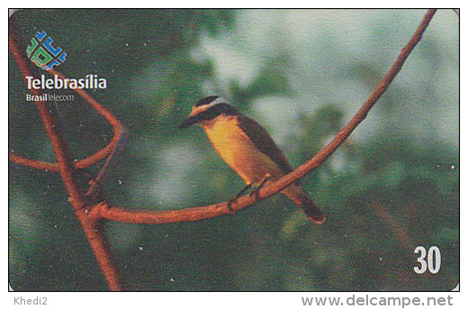 Télécarte Brésil - OISEAU Passereau Exotique - Bird Brazil Phonecard -  Vogel Telefonkarte - 2402 - Pájaros Cantores (Passeri)