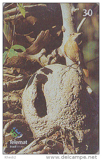 Télécarte Brésil - OISEAU Passereau - FOURNIER - Bird Brazil Phonecard - Vogel Telefonkarte / Ave Uccello - 2417 - Pájaros Cantores (Passeri)