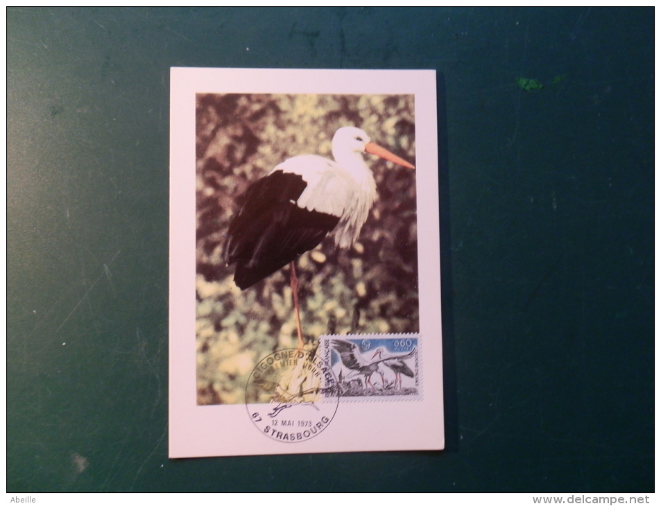 38/174  MAXI CARTE  FRANCE - Storks & Long-legged Wading Birds