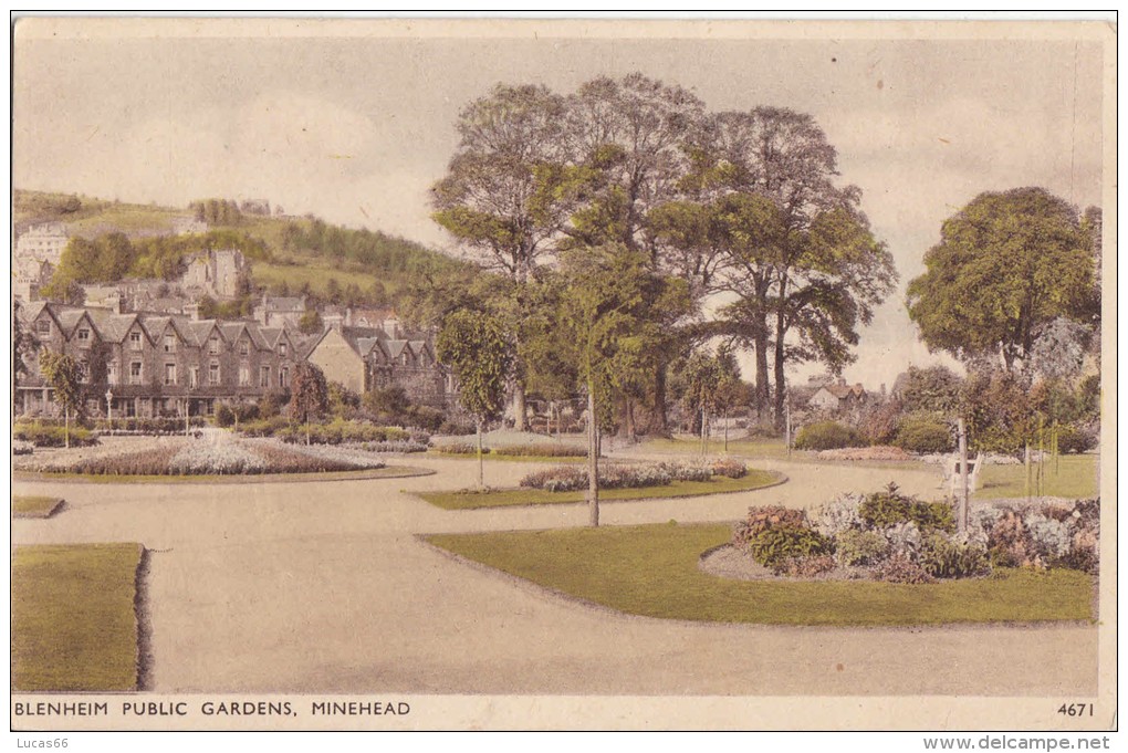 C1920 MINEHEAD BLENHEIM PUBLIC GARDENS - Minehead