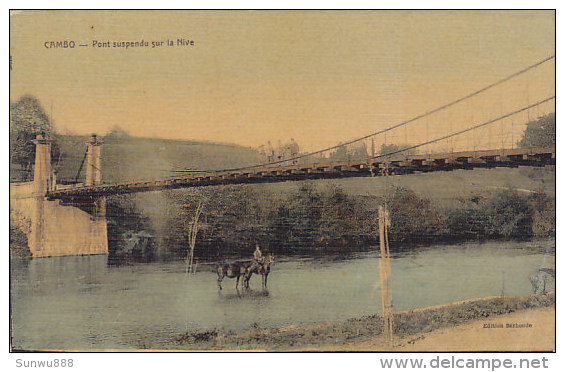 64 - Cambo - Pont Suspendu Sur La Nive (animée, Colorée) - Autres & Non Classés