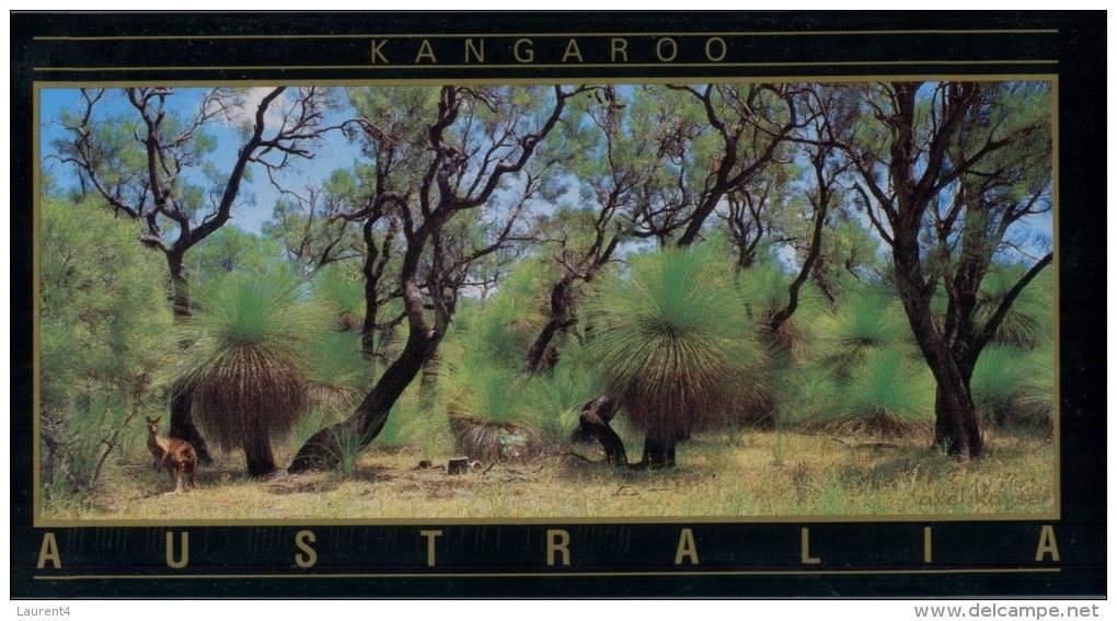 (661) Australia - Outback And Kangaroo - Outback