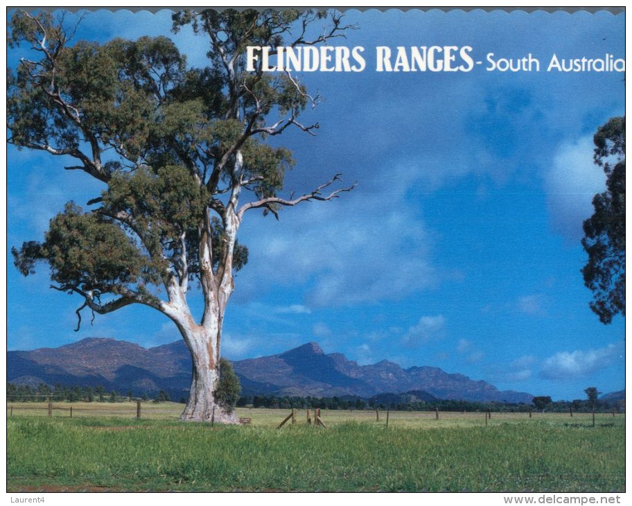 (958) Australia - SA - FLinders Range - Flinders Ranges