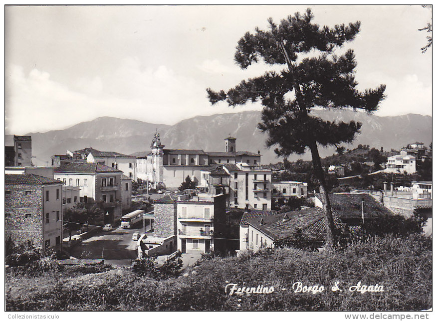 C-903- Ferentino - Borgo S. Agata - Frosinone - F.g. - Vg. - Frosinone