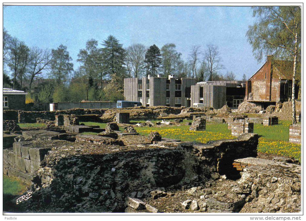 Carte Postale 59. Bavay  Les Fouilles Archéologique Trés Beau Plan - Bavay