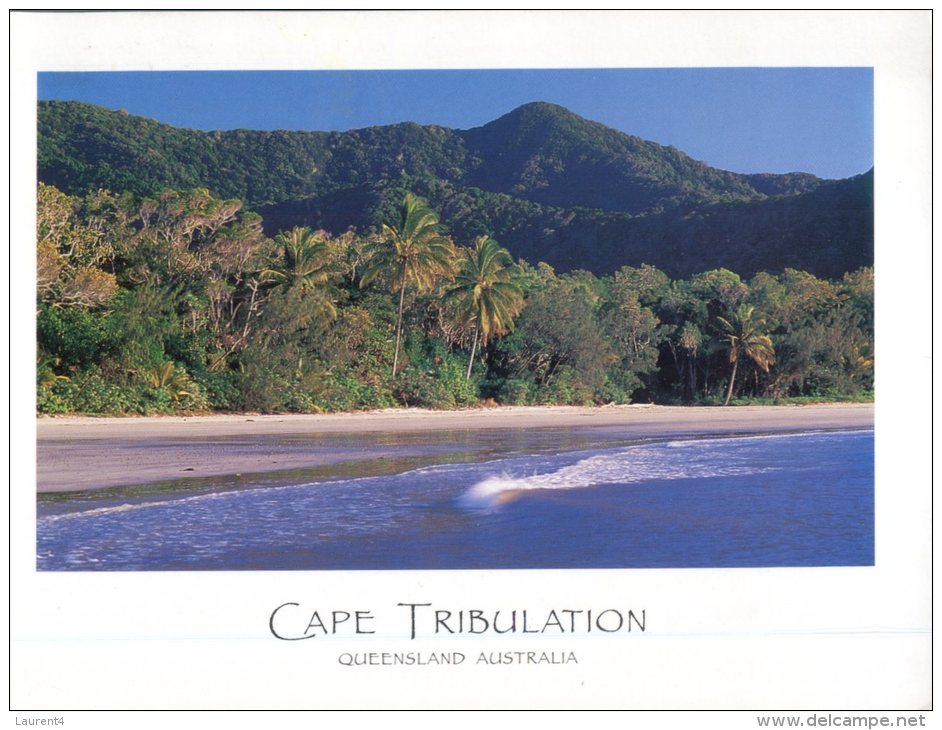 (334) Australia - QLD - Cape Tribulation - Far North Queensland