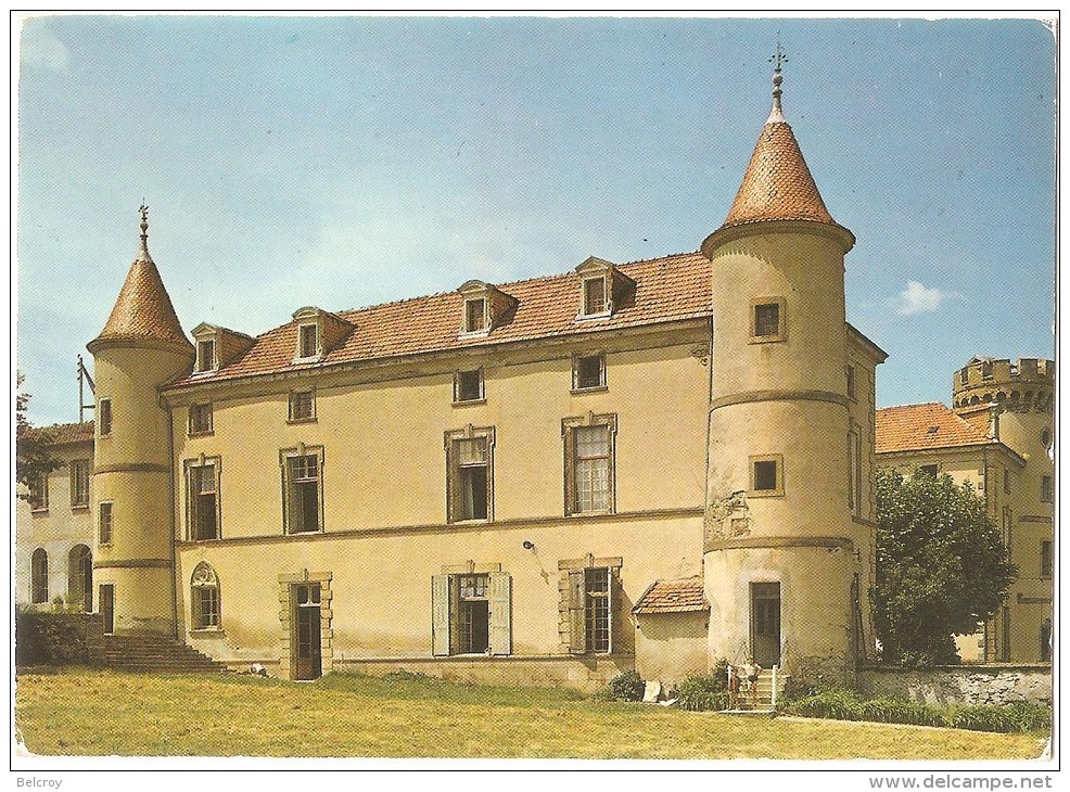 Dépt 63 - ARLANC - (CPSM 10.4x14.6cm) - Château De Mons - Autres & Non Classés