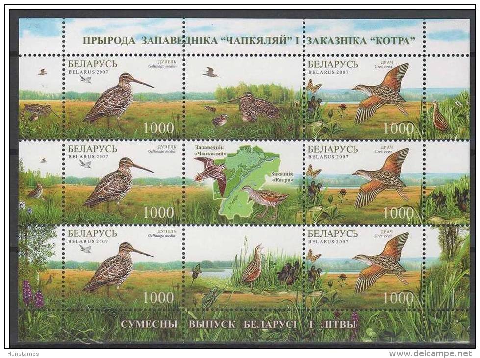 Belarus 2007. Wild Animals / Birds Sheet MNH (**) - Autres & Non Classés