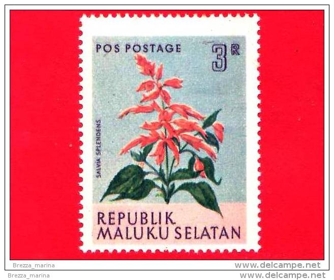 Etichette Di Fantasia -  1954 - Republik Maluku Selatan - Flora - Piante - Salvia Splendens - 3 - Altri & Non Classificati