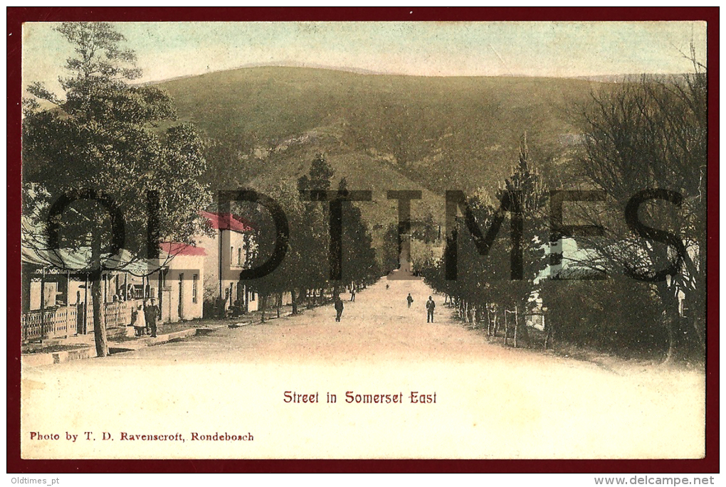 SOUTH AFRICA - SOMERSET EAST - STREET VIEW - 1920 PC - South Africa