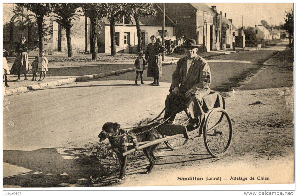 SANDILLON (45) Attelage De Chien Gros Plan - Autres & Non Classés