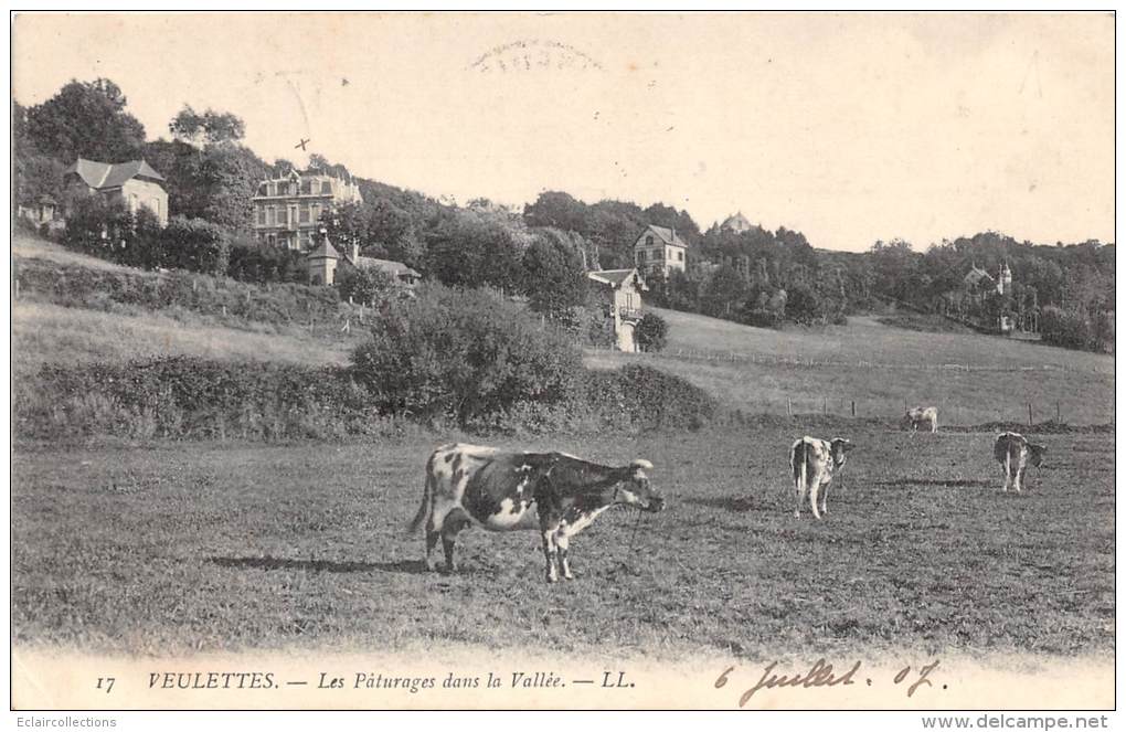 Veulettes   76      Villa   Paturage     Vaches - Autres & Non Classés