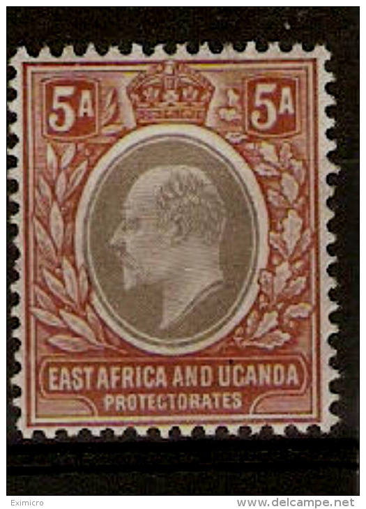 KENYA,UGANDA & TANGANYIKA1904 - 1907  5a  SG 24 WATERMARK MULTIPLE CROWN CA MOUNTED MINT Cat £8 - Protectorados De África Oriental Y Uganda