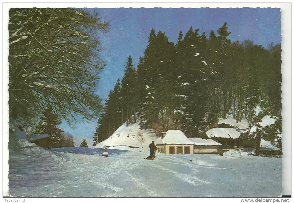 Cantal :  LE  LAC    PAVIN , En  Auvergne  1968 - Autres & Non Classés