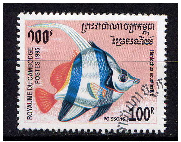 CAMBODGE - N° 1292° - HENIOCHUS ACUMINATUS - Cambodge