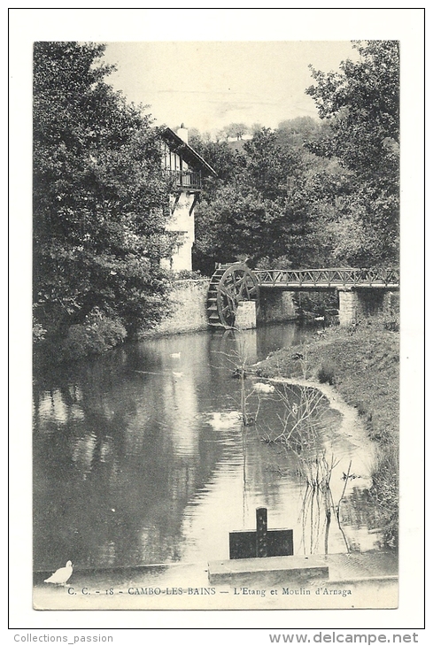 Cp, 64, Cambo-les-Bains, L'Etang Et Moulin D'Arnaga - Autres & Non Classés