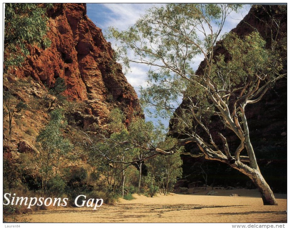 (113) Australia - NT - Simpson Gap - Alice Springs