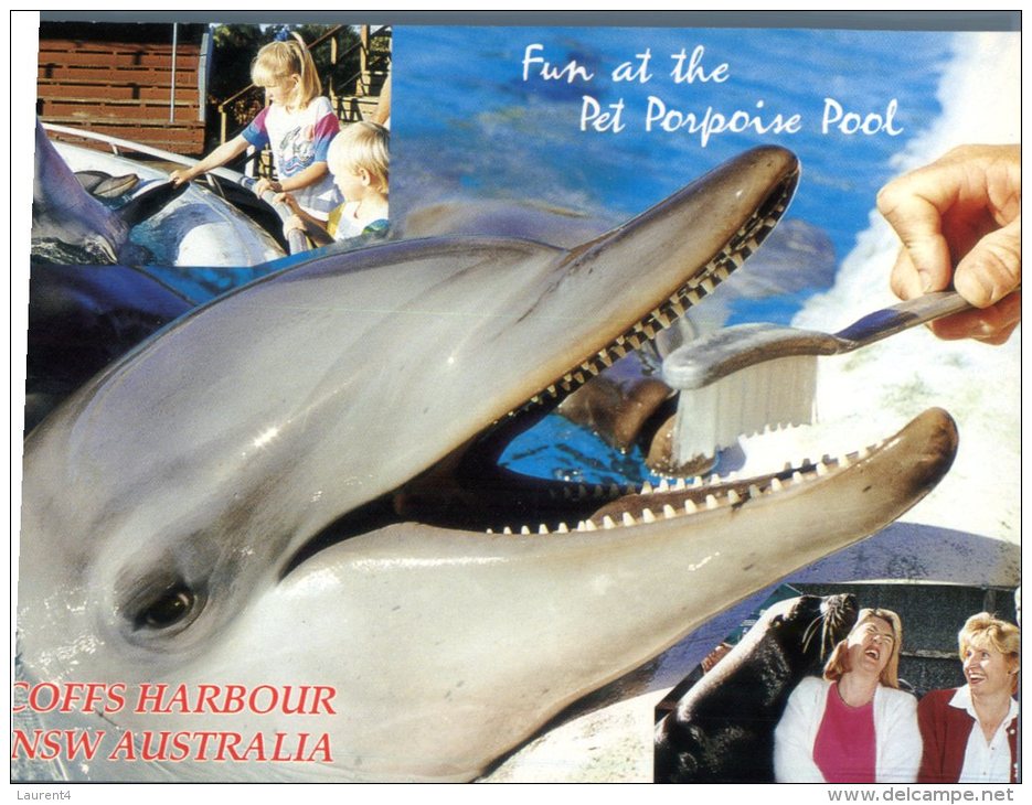 (981) Australia - NSW - Coffs Harbour Dolphin - Coffs Harbour