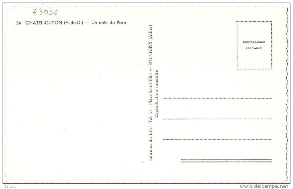 Dépt 63 - CHÂTELGUYON - (CPSM 8.8x14cm) - Un Coin Du Parc (Châtel-Guyon) - Châtel-Guyon