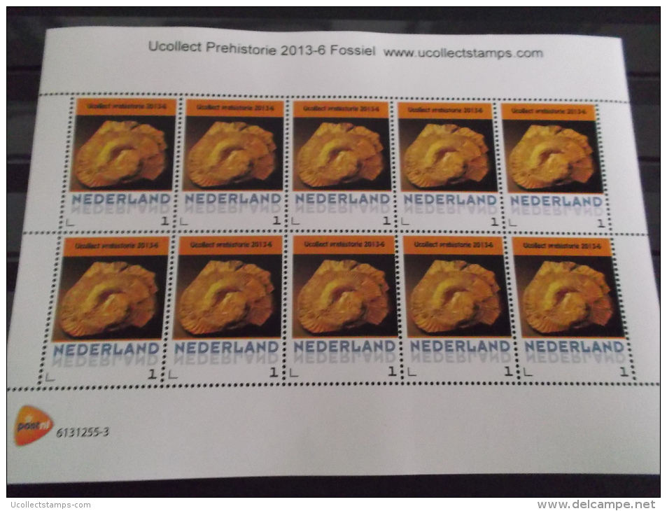 Nederland  2013-6  Ucollect  Prehistorie Fossiel Vel  Postfris/mnh/neuf - Neufs