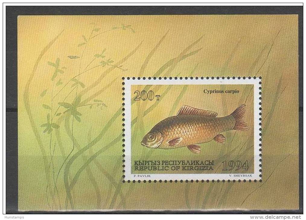 Kyrgyzstan 1994. Animals / Fishes Sheet MNH (**) - Kirgisistan