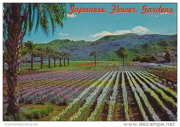 Japanese Flower Gardens Phoenix Arizona - Phoenix