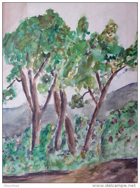 1942 Aquarelle /Gouache Peinte à La Main  (anonyme)&gt;des Arbres Dans Un Bois Pénurie Papier Suite Guerre - Gouaches