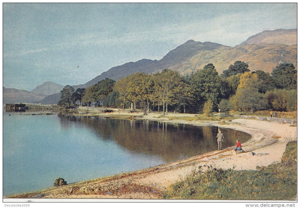 BT17798 Loch Lomond At Rowardennan   2 Scans - Argyllshire