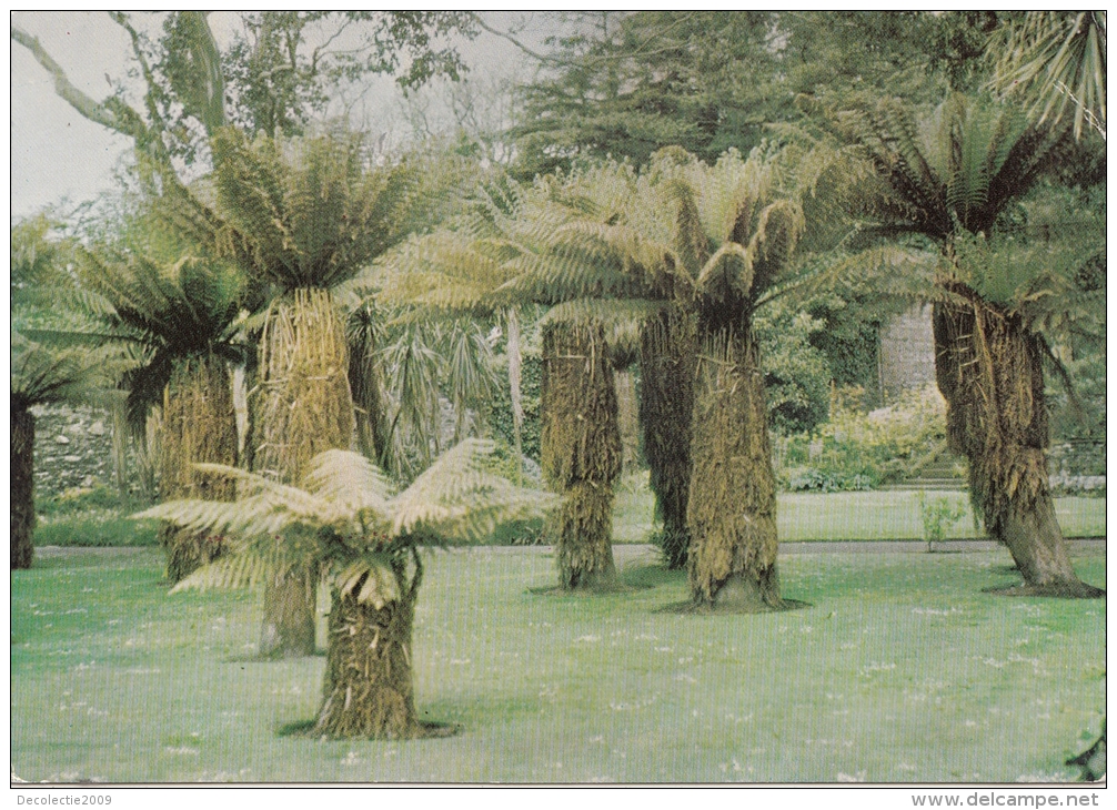 BT17838 Logan Botanic Garden    2 Scans - Wigtownshire