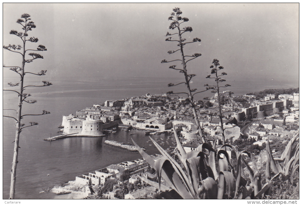 CROATIE,DUBROVNIK Neretva Avant La Guerre,prés De Bosnie Herzégovine,monténégro,le Port,cote Dalmate,rare - Croatia