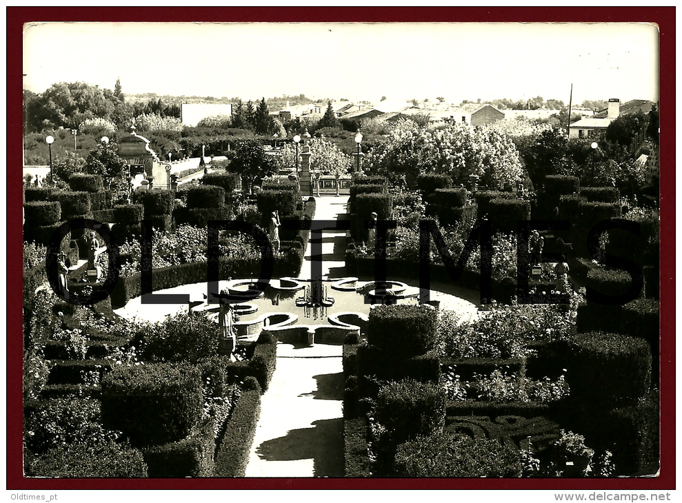 CASTELO BRANCO - JARDIM DO ANTIGO PACO EPISCOPAL - 1950 REAL PHOTO PC - Castelo Branco