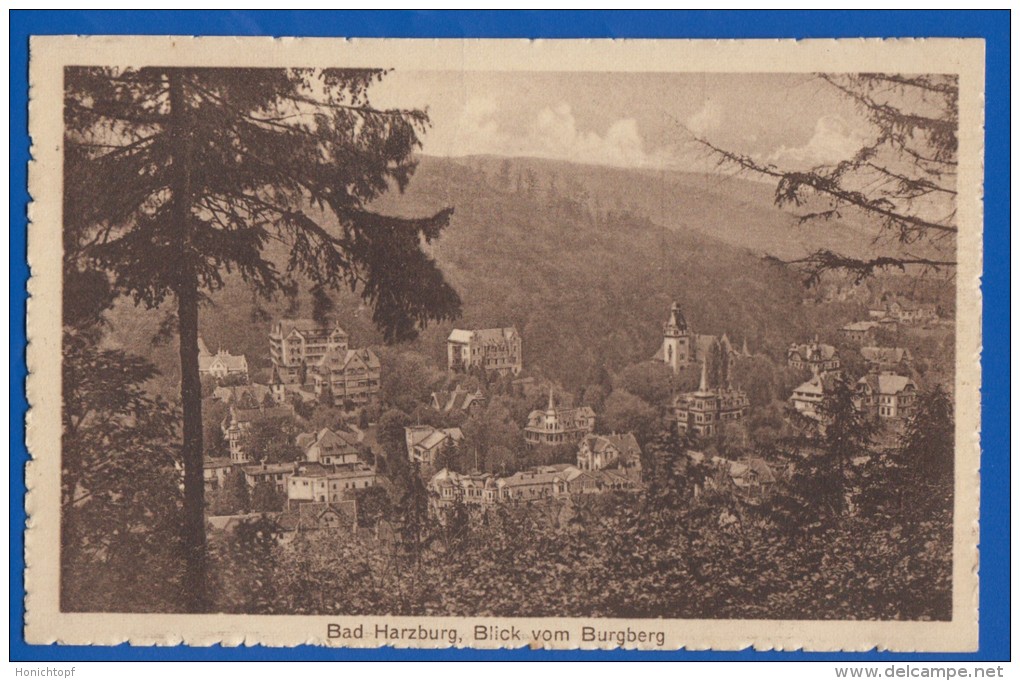 Deutschland; Bad Harzburg; Blick Von Burgberg; 1926 - Bad Harzburg