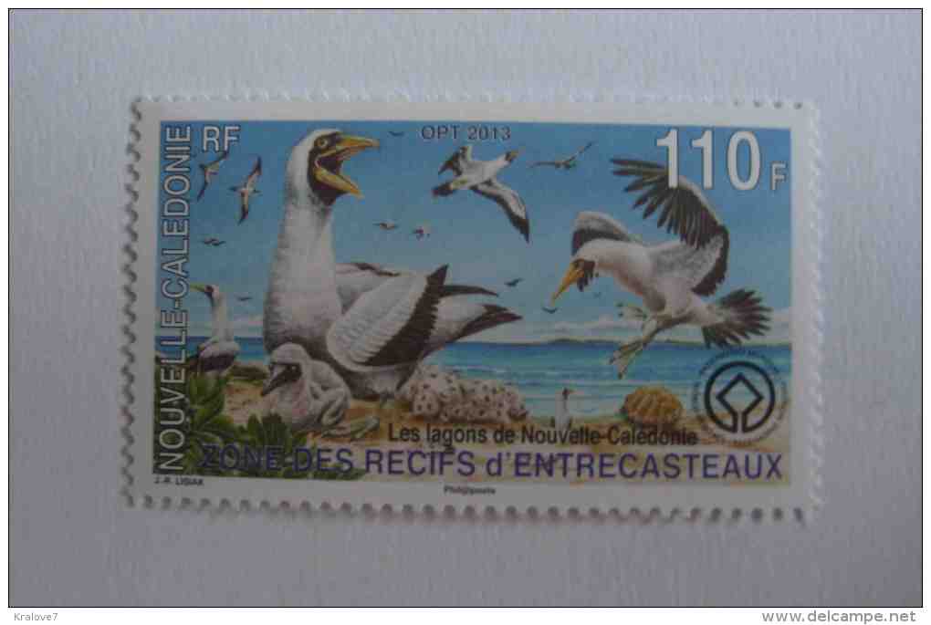 NOUVELLE CALEDONIE FRANCE 2013 NEUF FAUNE OISEAUX RECIFS ENTRECASTEAUX FRENCH NEW CALEDONIA MNH BIRDS FAUNA - Unused Stamps