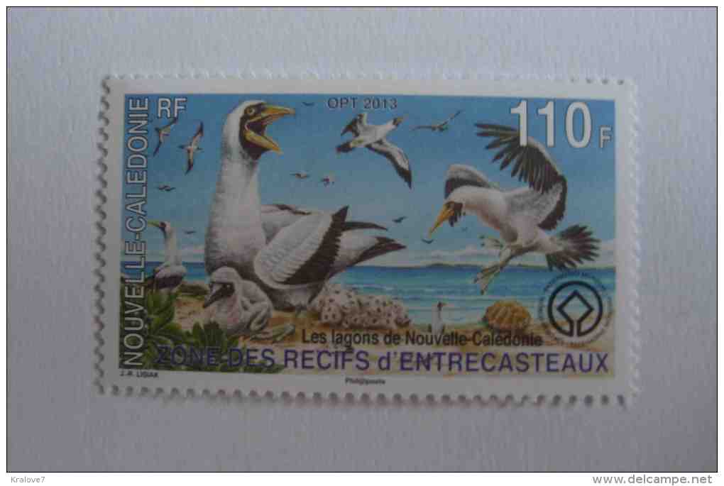 NOUVELLE CALEDONIE FRANCE 2013 NEUF FAUNE OISEAUX RECIFS ENTRECASTEAUX FRENCH NEW CALEDONIA MNH BIRDS FAUNA - Ungebraucht