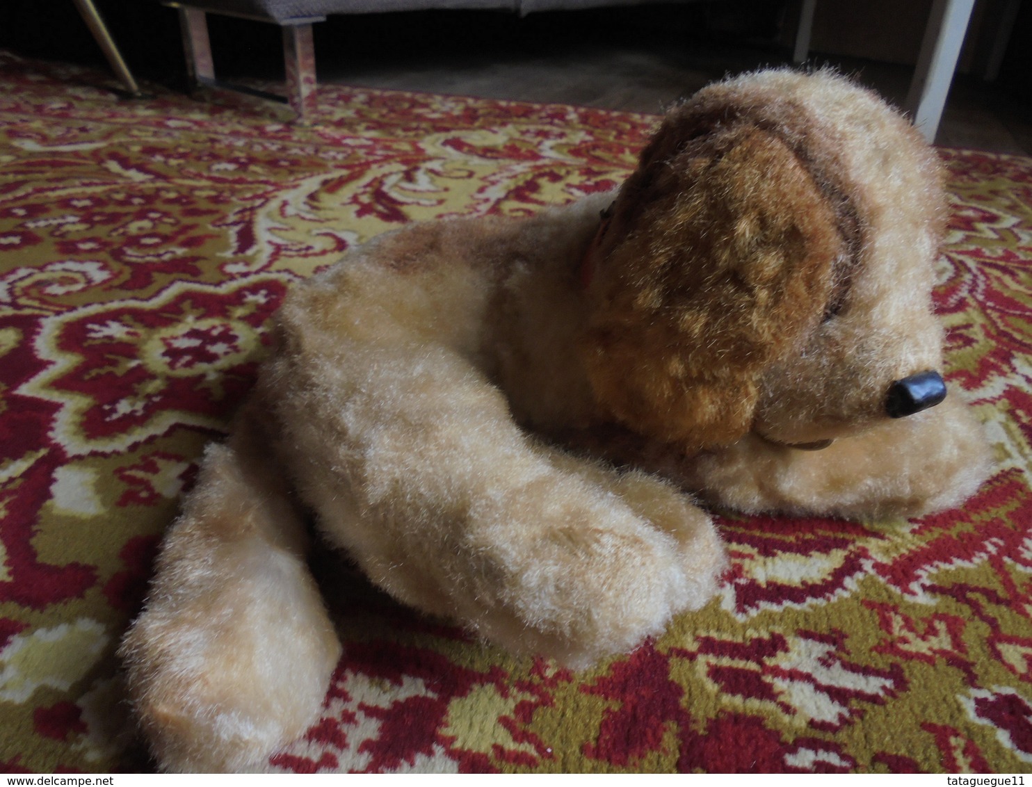 Ancien - Peluche Petit Chien St Bernard Années 50/60 - Peluches