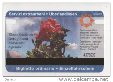 Alt404 Biglietto Autobus Ticket Bus | Bolzano, Bozen | Provincia Autonoma Alto Adige, Fiore Rododendro, Flower, Fleure - Europe