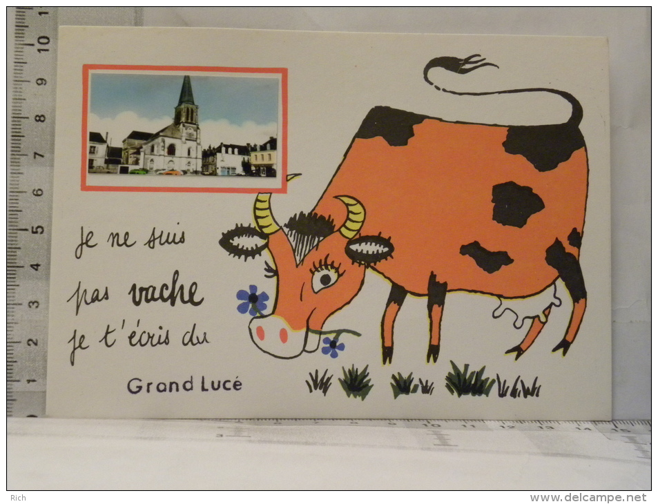 CPM (72) Sarthe - LE GRAND LUCE - Je Ne Suis Pas Vache Je J'écris Du Grand Lucé - Le Grand Luce