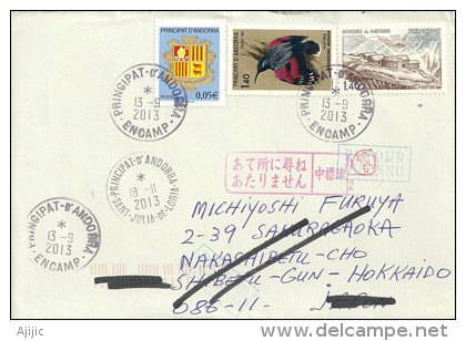 Lettre Du Village D'Encamp Adressée  A Hokkaido Au Japon, Cachet Postal Japonais Au Recto Enveloppe - Franking Machines (EMA)