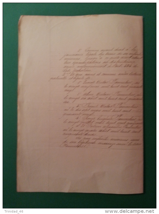 LUCON 85  ( INVENTAIRE SUITE AU DECES DE MR PANNETIER ) PARCHEMIN DE 1869 - Manuscrits