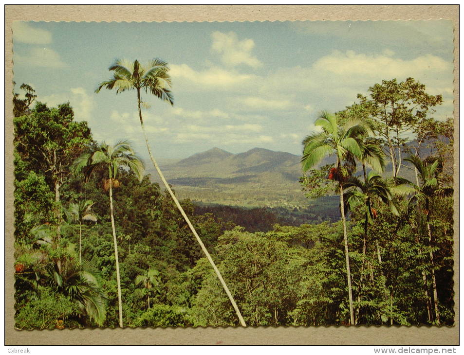 Pioneer Valley From Eungella Range Near Mackay, Queensland, Australia - Mackay / Whitsundays