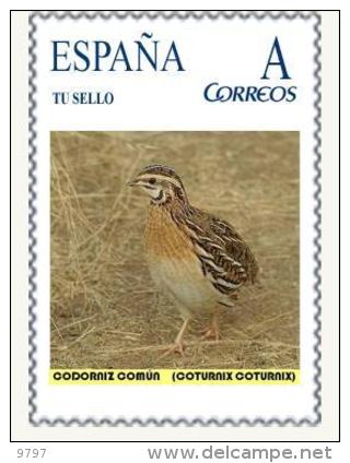 PAJAROS BIRDS OISEAUX VÖGEL: CODORNIZ COMUN - COTURNIX COTURNIX -   FAUNA VALENCIANA. TU SELLO PERSONALIZADO - ESPAÑA - Passereaux